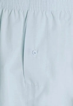 Pier One 5 Pack - Boxershort - Light Blue/White 13 Pier One 5 Pack - Boxershort - Light Blue/White -Pier One Winkel 8d526a81d413439291c57bcecfa7d443